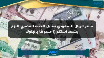 سعر الريال السعودي مقابل الجنيه المصري اليوم يشهد استقرارًا ملحوظًا بالبنوك